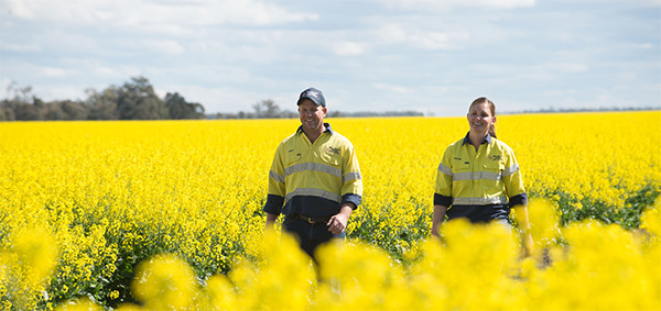 farmers walking through a field